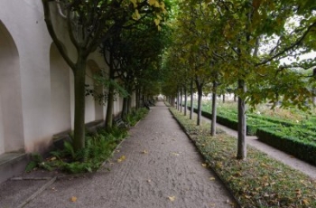 20131005-111408-6877