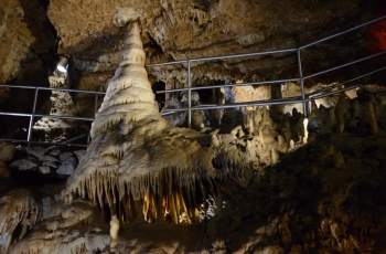 20131006-131455-7097